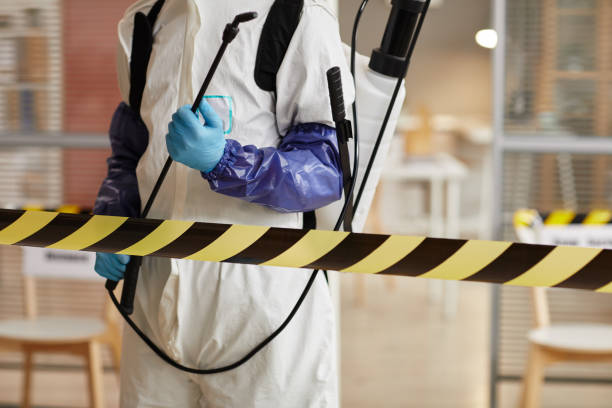 Professional Sewage Cleanup technician working in French Camp, CA